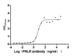 Prolactin R Antibody (1D3), Novus Biologicals 100 &mu;L; Unconjugated:Antibodies,
