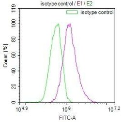 Peroxiredoxin 3 Antibody (14E2), Novus Biologicals 100 &mu;L; Unconjugated:Antibodies,