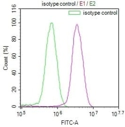 PKN2 Antibody (20A8), Novus Biologicals:Antibodies:Primary Antibodies