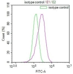 ADP-Sugar Pyrophosphatase/NUDT5 Antibody (10D2), Novus Biologicals 100