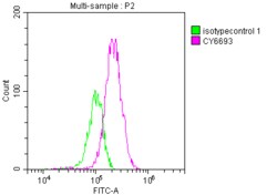 Complement C3 Antibody (4D12), Novus Biologicals 100 &mu;L; Unconjugated:Anticuerpos