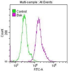 BAK Antibody (8D1), Novus Biologicals 100 &mu;L; Unconjugated:Antibodies,