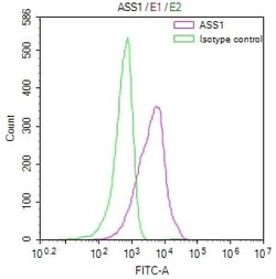 Argininosuccinate Synthase Antibody (18G11), Novus Biologicals 50 &mu;L;