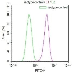 ARG2 Antibody (9A4), Novus Biologicals 50 &mu;L; Unconjugated:Antibodies,