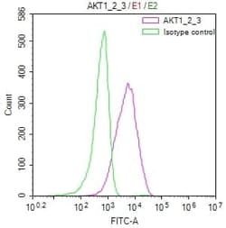 AKT1/2/3 Antibody (16E10), Novus Biologicals 50 &mu;L; Unconjugated:Antibodies,
