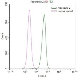 Ago2/eIF2C2 Antibody (7C2), Novus Biologicals:Antibodies:Primary Antibodies