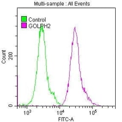 GOLM1 Antibody (9C2), Novus Biologicals 50 &mu;L; Unconjugated:Antibodies,