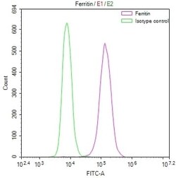 Ferritin Antibody (39G3), Novus Biologicals:Antibodies:Primary Antibodies
