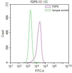 FDPS Antibody (12H4), Novus Biologicals 100 &mu;L; Unconjugated:Antibodies,