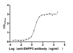 ENPP-3/CD203c Antibody (3B2), Novus Biologicals:Antibodies:Primary Antibodies