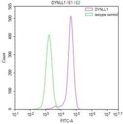 PIN/DLC8 Antibody (20A1), Novus Biologicals:Antibodies:Primary Antibodies