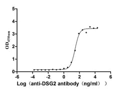 Desmoglein-2 Antibody (22H6), Novus Biologicals 50 &mu;L, Unconjugated:Antibodies,