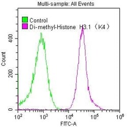 Histone H3.1, Dimethyl Lys4 Antibody (6F6), Novus Biologicals:Antibodies:Primary