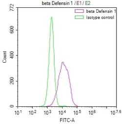 Defensin beta 1 Antibody (1F5), Novus Biologicals:Antibodies:Primary Antibodies