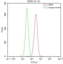 DDR2 Antibody (9A9), Novus Biologicals 100 &mu;L, Unconjugated:Antibodies,