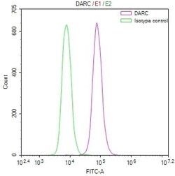 DARC Antibody (18B11), Novus Biologicals 100 &mu;L, Unconjugated:Antibodies,