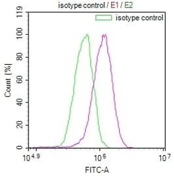 beta Casein Antibody (29D6), Novus Biologicals 50 &mu;L, Unconjugated:Antibodies,