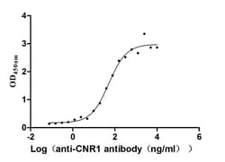 Cannabinoid R1/CB1/CNR1 Antibody (2A1), Novus Biologicals 100 &mu;L, Unconjugated:Antibodies,