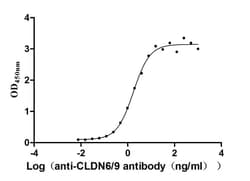 Claudin-6 Antibody (9H8), Novus Biologicals 50 &mu;L, Unconjugated:Antibodies,