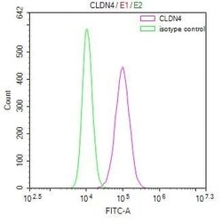 Claudin-4 Antibody (6E10), Novus Biologicals 50 &mu;L, Unconjugated:Antibodies,
