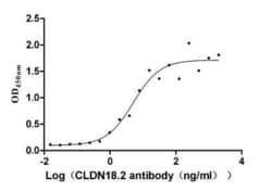 Claudin-18 Antibody (25E3), Novus Biologicals 100 &mu;L, Unconjugated:Antibodies,