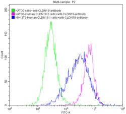 Claudin-18 Antibody (25E3), Novus Biologicals 100 &mu;L, Unconjugated:Antibodies,