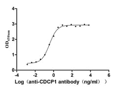 CDCP1 Antibody (30D4), Novus Biologicals 50 &mu;L, Unconjugated:Antibodies,