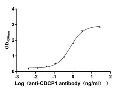 CDCP1 Antibody (30D4), Novus Biologicals 50 &mu;L, Unconjugated:Antibodies,