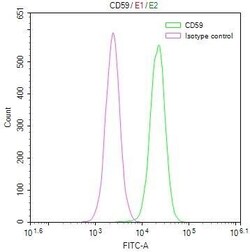 CD59 Antibody (28D4), Novus Biologicals:Antibodies:Primary Antibodies