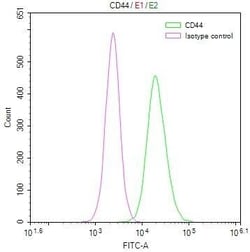 CD44 Antibody (19H12), Novus Biologicals 100 &mu;L, Unconjugated:Antibodies,