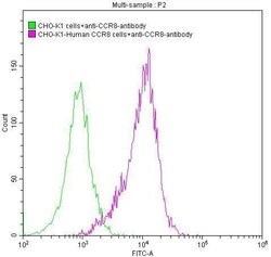 CCR8 Antibody (6B12), Novus Biologicals 50 &mu;L, Unconjugated:Antibodies,