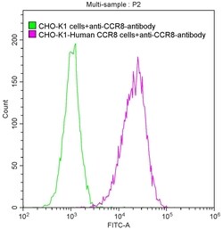 CCR8 Antibody (10A9), Novus Biologicals 50 &mu;L, Unconjugated:Antibodies,