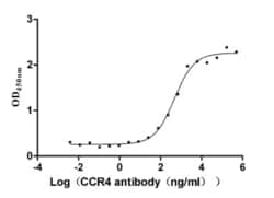 CCR4 Antibody (12F5), Novus Biologicals:Antibodies:Primary Antibodies