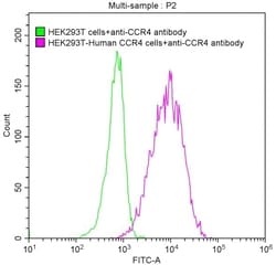 CCR4 Antibody (12F5), Novus Biologicals:Antibodies:Primary Antibodies