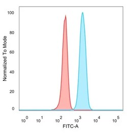 Novus Biologicals SMCX Antibody (PCRP-KDM5C-1A11), Novus Biologicals 20