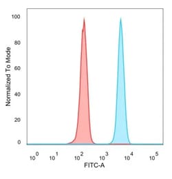 Novus Biologicals CBF2 Antibody (PCRP-CEBPZ-2D8), Novus Biologicals 100