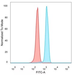 Novus Biologicals FoxP4 Antibody (PCRP-FOXP4-1A10), Novus Biologicals:Antibodies:Primary