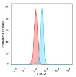 Novus Biologicals LRH-1/NR5A2 Antibody (PCRP-NR5A2-1B8), Novus Biologicals:Antibodies:Primary