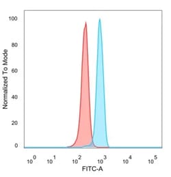 Novus Biologicals Mineralocorticoid R/NR3C2 Antibody (PCRP-NR3C2-1E3),