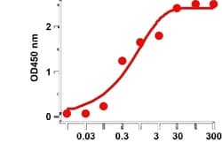 Novus Biologicals SARS-CoV-2 Spike S1 Protein Antibody (CR3022) - Azide
