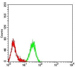 Novus Biologicals BAFFR/TNFRSF13C Antibody (5A9B10), Novus Biologicals:Antibodies:Primary