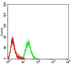 Novus Biologicals BAFFR/TNFRSF13C Antibody (5A9B6), Novus Biologicals 0.1 mL | Buy Online | Novus Biologicals&trade; | Fisher Scientific