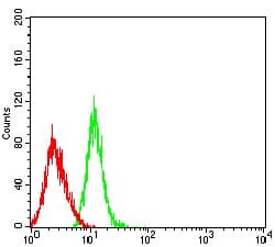 Novus Biologicals CCL4/MIP-1 beta Antibody (7C9E4), Novus Biologicals 0.025