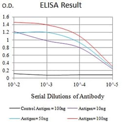 Novus Biologicals LRP3 Antibody (7B3A5E9), Novus Biologicals:Antibodies:Primary