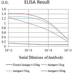 Novus Biologicals FCAMR Antibody (5B1D12E1), Novus Biologicals:Antibodies:Primary