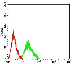 Novus Biologicals Muscarinic Acetylcholine Receptor M5/CHRM5 Antibody (7E5H11),