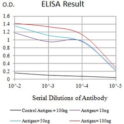 Novus Biologicals ST7/LRP12 Antibody (4E11C5), Novus Biologicals 0.1 mL,