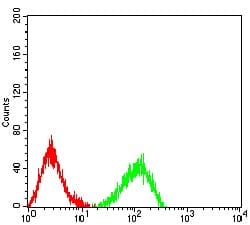 Novus Biologicals ST7/LRP12 Antibody (4E11C5), Novus Biologicals 0.1 mL,