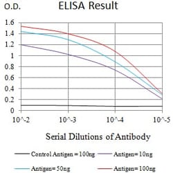 Novus Biologicals IGSF2/CD101 Antibody (9A8B9), Novus Biologicals 0.1 mL,