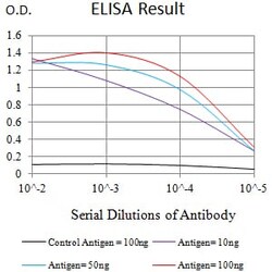 Novus Biologicals VPREB1 Antibody (5F8F3), Novus Biologicals 0.1 mL, Unconjugated:Antibodies,